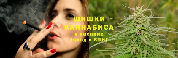 каннабис Новокубанск