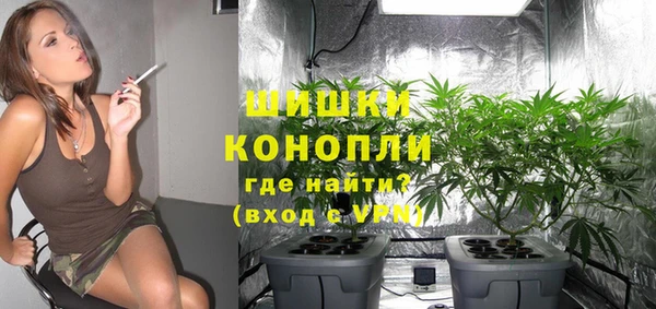 не бодяженный Новодвинск