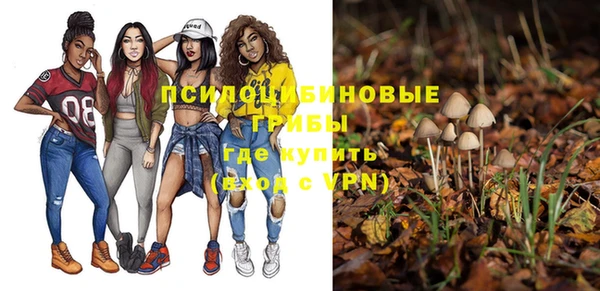 не бодяженный Новодвинск