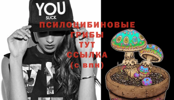синтетический гашиш Новозыбков