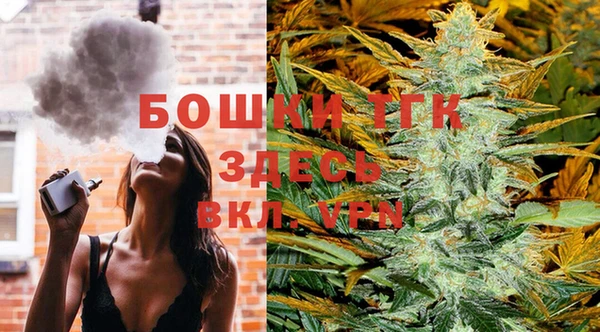 не бодяженный Новодвинск