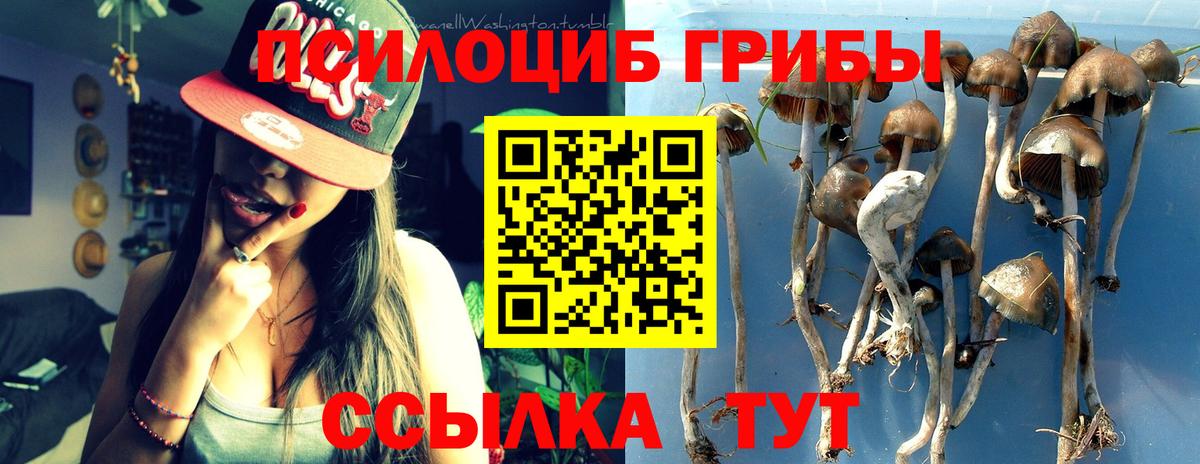 Псилоцибиновые грибы Magic Shrooms  Североморск 