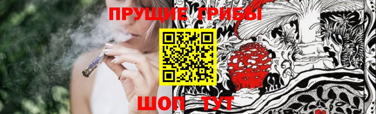 Североморск  Псилоцибиновые грибы Psilocybe  купить наркотик  Вход с VPN 